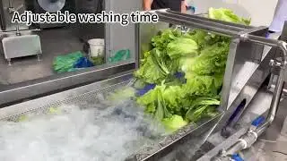 vegetable washing machine