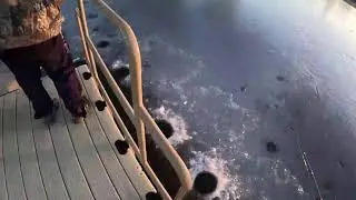 Live Stream Ice Fishing Local Pond