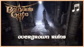 BALDURS GATE 3 Dank Crypt Music | Overgrown Ruins | Unofficial Soundtrack