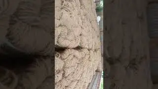 Coir Twine to the USA #hops #farms #coir #growers #stringing #local #import  #marketing #global