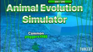 Animal Evolution Simulator!