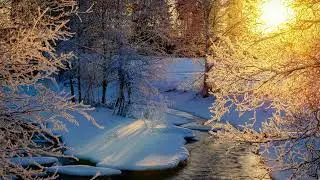 Calm Winter River in Forest | 4K | Relaxing Ambient Lofi Music Chill