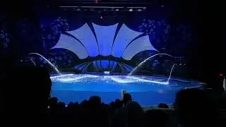 Dolphin Coast 1 - Georgia Aquarium 