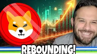 Shiba Inu Coin | SHIB And Bitcoin Rebounding, Investors Think The Bottom Is In