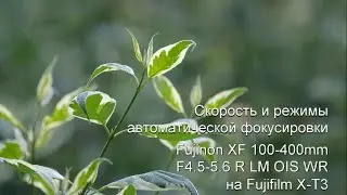 Скорость и режимы работы автоматической фокусировки на Fujinon XF 100-400 F4.5-5.6 и Fujifilm X-T3