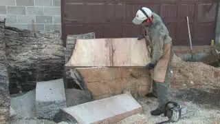Slabbing a silver maple log