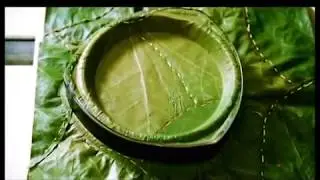 Leaf Packaging Manufacturing Process