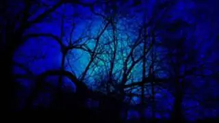 Wolfenmond - Wolfszeit