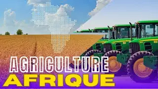 Afrique et agriculture: classement des plus gros producteurs de blé | investir dans l'agriculture
