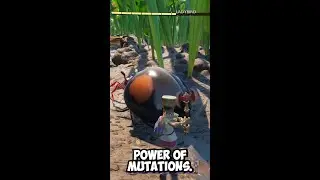 GROUNDED 101 | Mutations