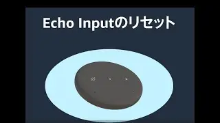 Echo Inputをリセットする方法