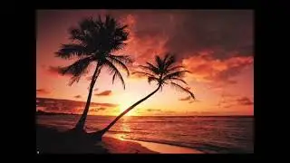 J F C   Meet Me In Paradise 480p 25fps H264 128kbit AAC