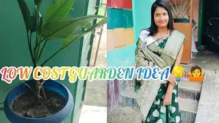 LOW COST GARDEN IDEA 💡🤷