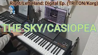 THE SKY/CASIOPEA Keyboard Part