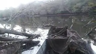 Big water [ Duck hunt ] limits NC 2021