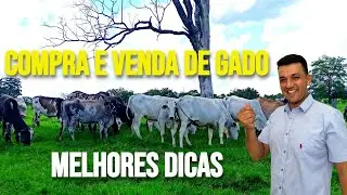 COMPRA E VENDA DE GADO, 6 MELHORES DICAS E O SEGREDO DO SUCESSO