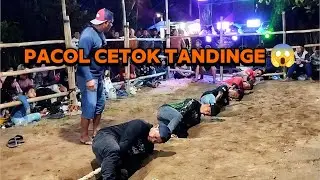 Apa yang terjadi ketika Oglok berjumpa dengan kecek ..