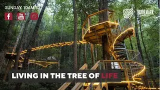 Living in the Tree of Life