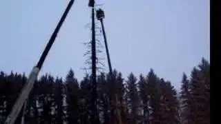 The Eagle Has Landed 