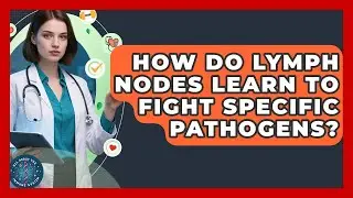 How Do Lymph Nodes Learn To Fight Specific Pathogens? - All About the Immune System