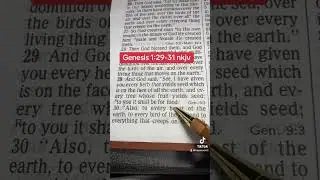Genesis 1:29-31