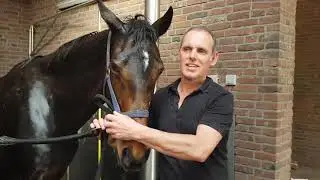 Horse wash original musik video