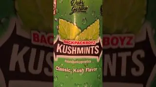 Kushmints (smalls) by Backpack Boyz , Dubz Garden & Seed Junky Genetics 🎒🔥