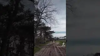 Braaaaap