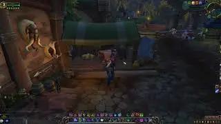 WoW BFA - Leatherworking Trainer (Alliance)