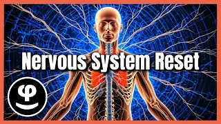 Nervous System Reset | Sleep Music for Calm and Recovery