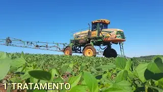 GRANIZO ESTRAGOU MAS VAMOS RECUPERAR a SOJA TITANIUM 🤠