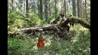 Surujen kitara