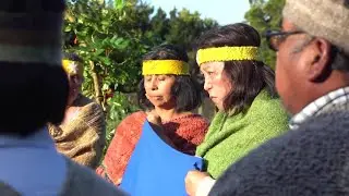 Comisi&oacute;n rechaza reconocimiento legal de pueblo Huilliche