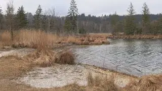 Impressionen, Beim Eisweiher am Ickinger Wehr