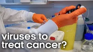 How Viruses can Cure Cancer | BBC Earth Science