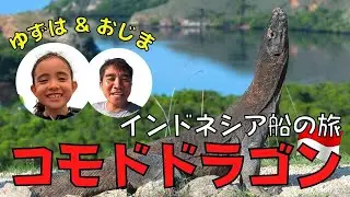 【コモドドラゴン探し】インドネシアのバリ島から1時間で行ける世界遺産『コモド国立公園』の船の旅