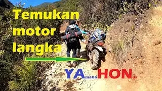 Motor Berbisa YAHON ada di Papandayan