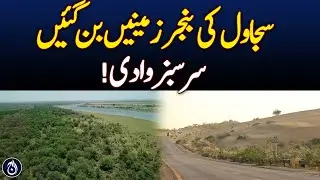 Tree Plantation | Sajawal&rsquo;s Green Revolution Fights Climate Change - Pakistan news