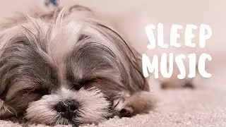 Sleep inducing Music: Makes you feel calm, stress free, effortlessly.