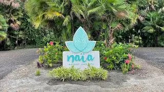 Belize Travel Vlog | A Look Inside Our Luxury Studio Beach House at Naia Resort in Spa