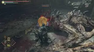 Dex vs Mage 01