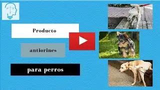 PRODUCTO antiorines PARA perros [Nuevo Invento Patentado]