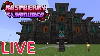 Raspberry Flavoured LIVE | Making an infinite lava source