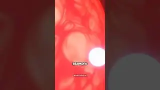 Жизнь Солнца за 60 СЕКУНД!