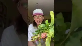 Don't Throw Out Your Beet Greens - Beets and Labneh #shorts #foodwaste