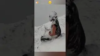 Yogi Meditating in the Snow 😲