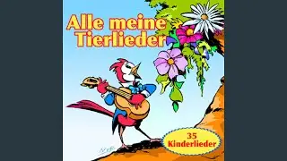 Zwei kleine Wölfe