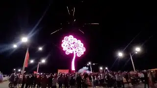 Encienden &Aacute;rbol de la Vida en la zona costera de Carazo
