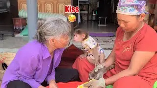 Monkey David wins affection and kisses Grandma