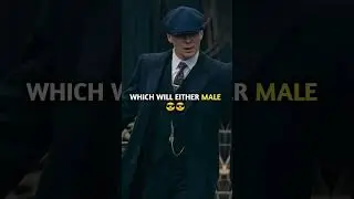Thomas Shelby Sigma Mindset #thomasshelby #peakyblinders#mindset   #shorts #viralvideo #viral